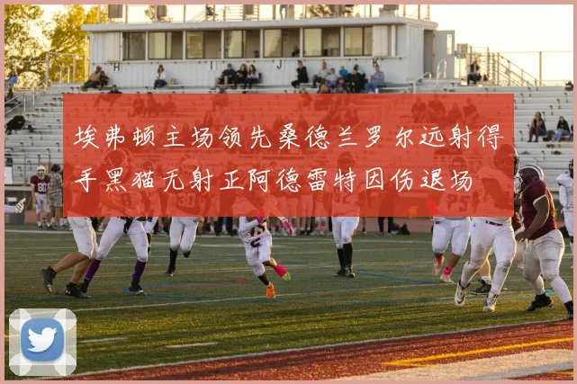 埃弗顿主场领先桑德兰罗尔远射得手黑猫无射正阿德雷特因伤退场