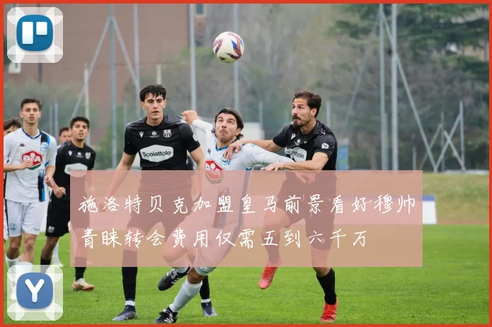 施洛特贝克加盟皇马前景看好穆帅青睐转会费用仅需五到六千万