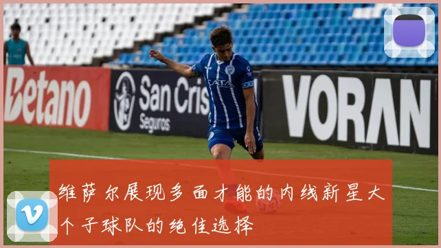 维萨尔展现多面才能的内线新星大个子球队的绝佳选择